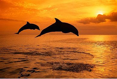 G胖目前沉迷《最终幻想14》 当“奶妈”保护儿子