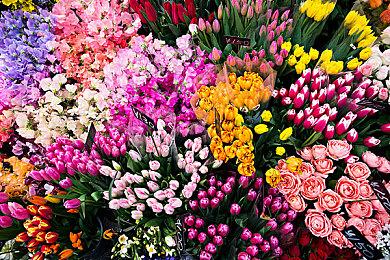 曝《刺客信条4：黑旗》重制版更倾向于RPG玩法